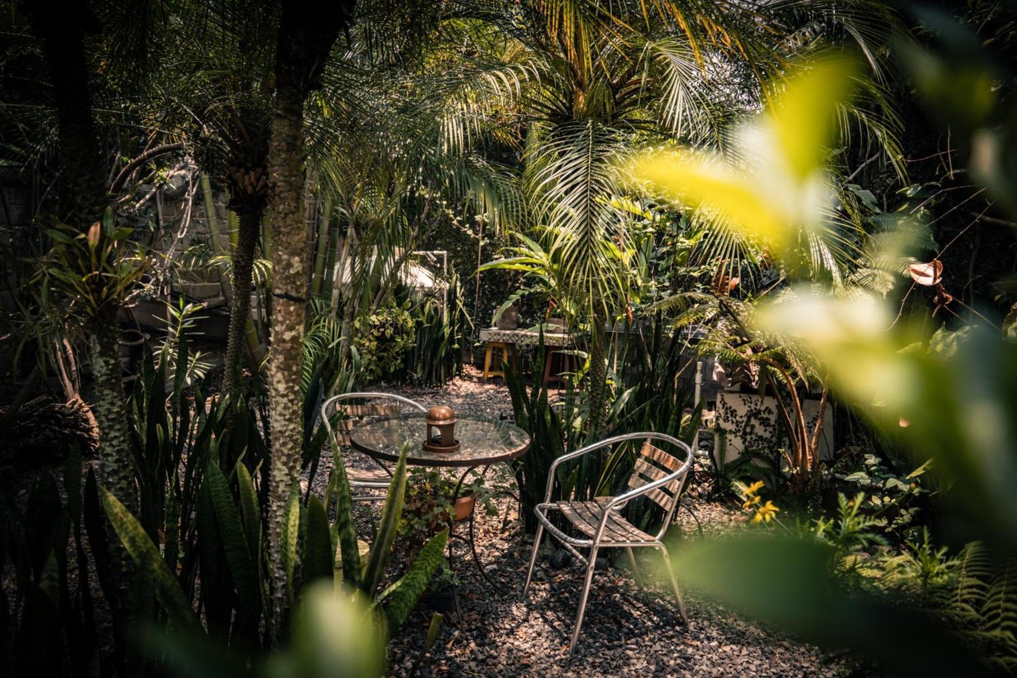 Baraka Antigua Villa Buitenkant foto