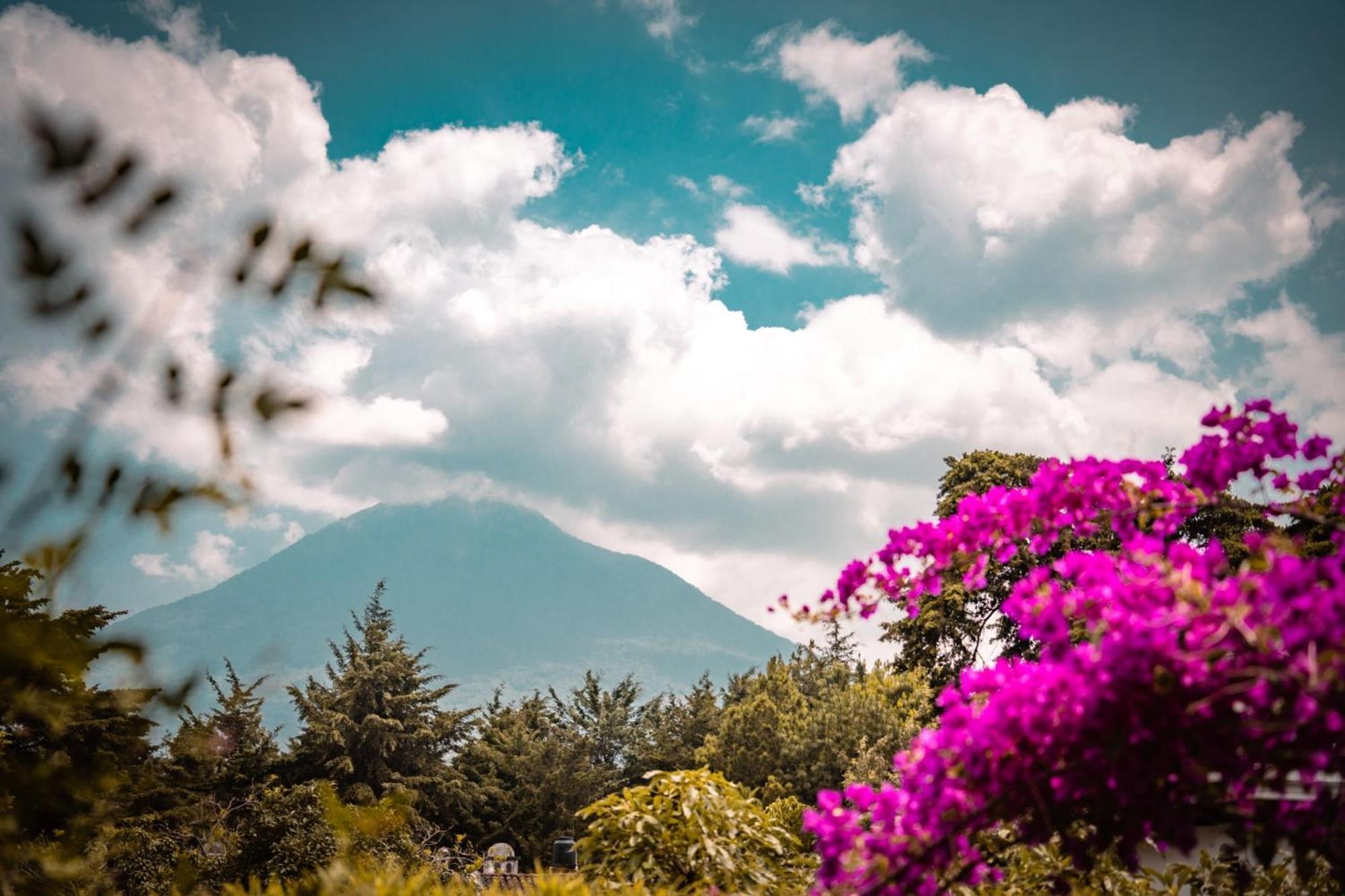 Baraka Antigua Villa Buitenkant foto
