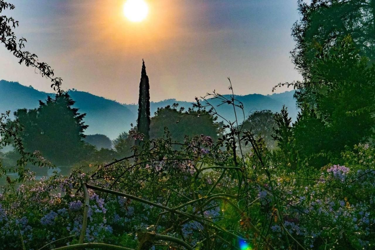 Baraka Antigua Villa Buitenkant foto